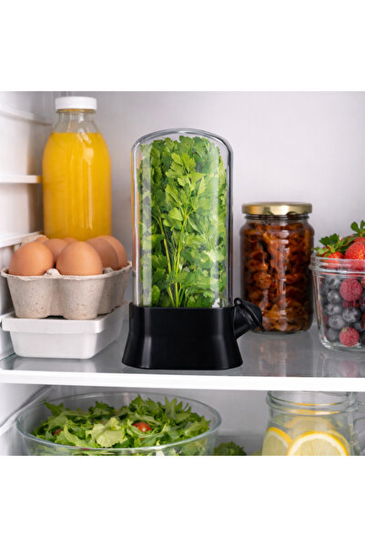 PriStyle Suport pentru Pastrarea Plantelor Proaspete la Frigider cu Capac Tra...