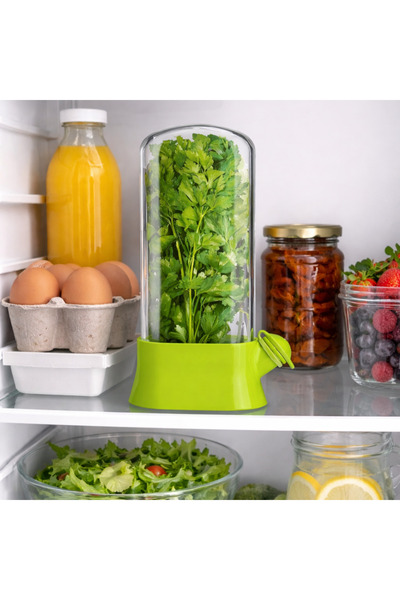 PriStyle Suport pentru Pastrarea Plantelor Proaspete la Frigider cu Capac Tra...
