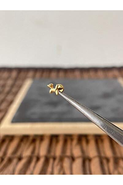 Rupen Kraft Yüksek Kalite G23 Titanium Fino Köpek Altın Titanyum 6x1.2mm Labr...