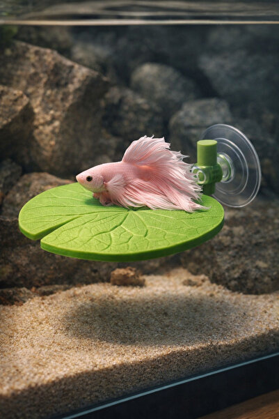 MD×JOA Beta Dinlenme Alanı Nilüfer Yaprağı