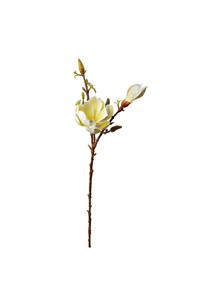 Clayre & Eef Artificial Yellow Brown Magnolia 17x11x70 cm