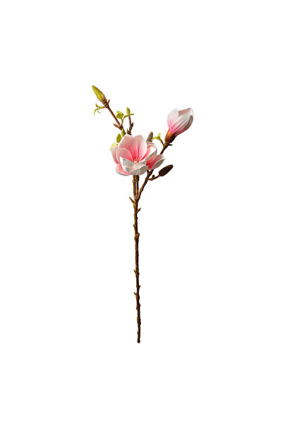 Clayre & Eef Πολύχρωμη Τεχνητή Μανόλια 17x11x70 εκ.