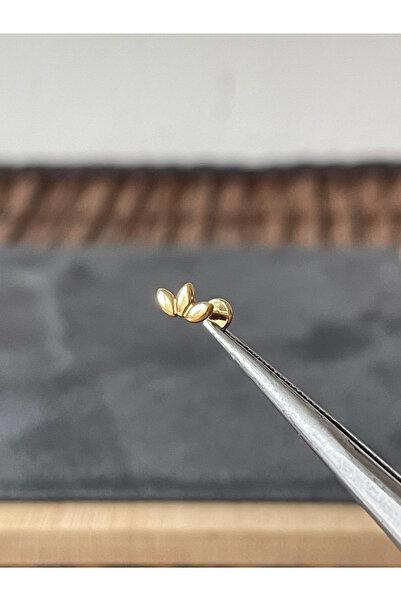 Rupen Kraft Yüksek Kalite G23 Buğday Zirkon Altın Titanyum 6x1.2mm Labret Pie...