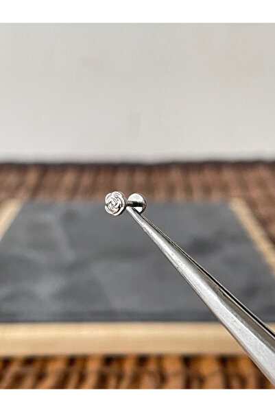 Rupen Kraft Yüksek Kalite G23 Gül Titanyum 6x1.2mm Labret Piercing