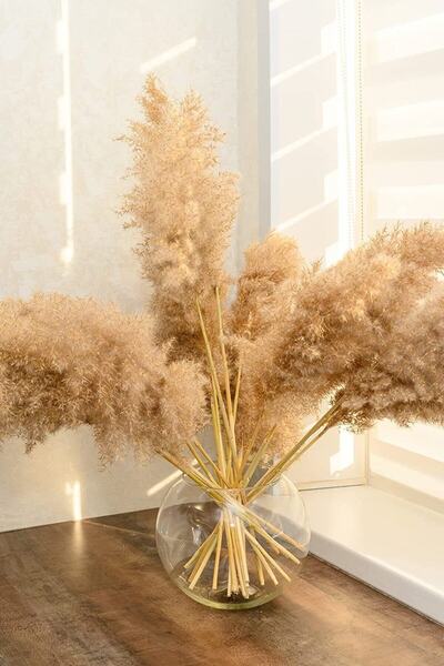 TROYA Pampas Otu Dekoru Uzun 10 Adet, 100cm Boyundan Pampas Otu Zemin Vazo Için,