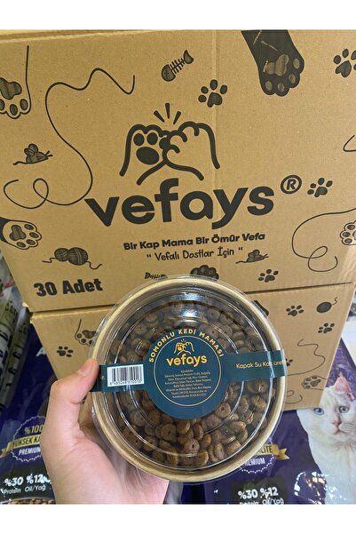 VEFAYS 200 Gr Porsiyon Mama somonlu 30’lu Koli – Sokak Kedileri İçin Pratik M...