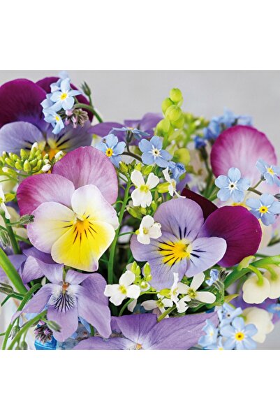 Ti Flair VIOLETS DESENLİ KAĞIT PEÇETE