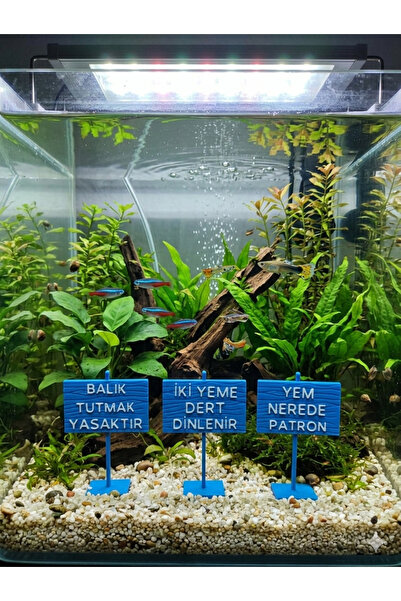 3D Akvaryum Esprili Tabela Seti - Tasarım (PETG Malzeme Mavi Renk) (7x5 cm)