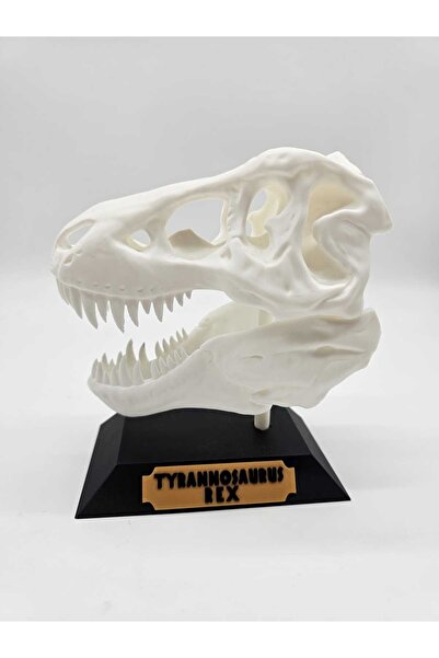 OEM Trex Skull Trophy