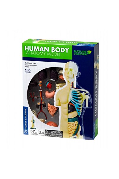 Thames & Kosmos Kit STEM - Anatomia corpului uman