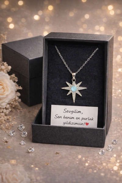 Selvica North Star Sparkling Necklace Birthday Gift Gift for Girlfriend Gift ...