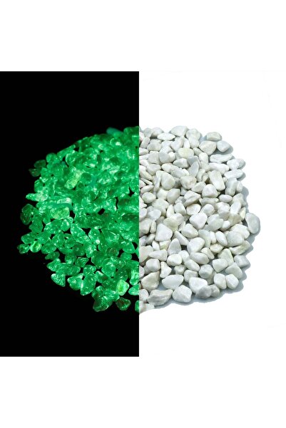 OEM Διακοσμητικές Λευκές Πέτρες Φωσφορίζουσες στο Σκοτάδι 5-8 χιλιοστά - 550 ...