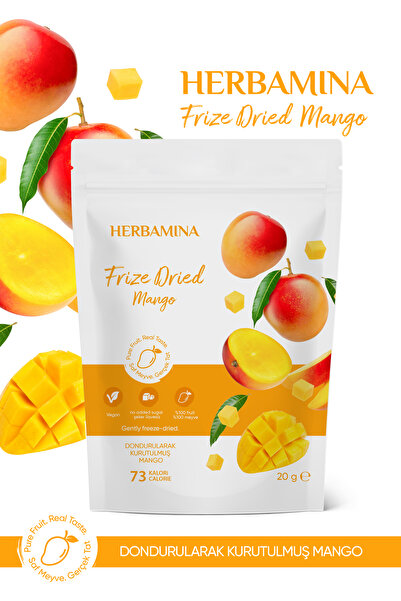 Herbamina Dondurularak Kurutulmuş Mango - 20 gr