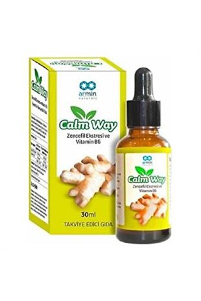 CalmWel Calm Way Ginger Extract Vitamin B6 Drops 30 ml