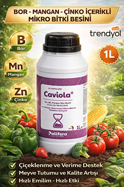 CAVİOLA