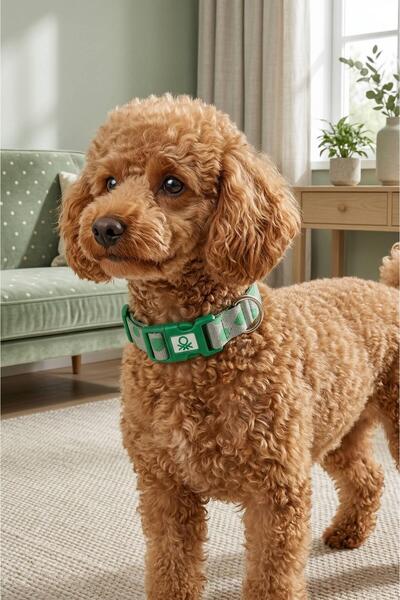 United Colors of Benetton Bntmkt-0028-Db-2 Cat & Dog Knitted Collar 2X32-50 cm