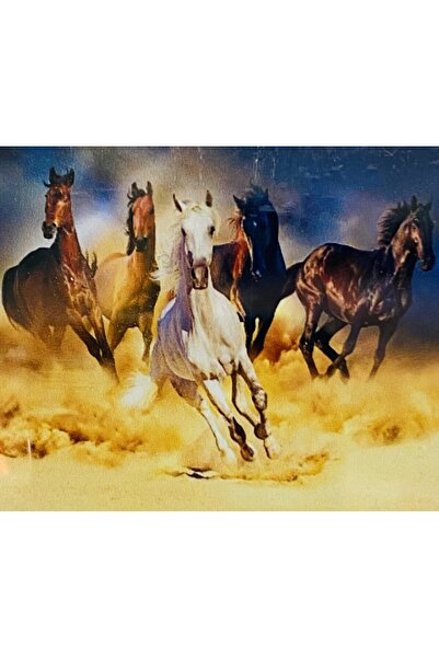 EleganTShoP 5D Yapışan Boncuk Mozaik Tablo 40*50 cm H5X20