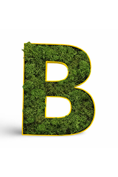 tini-mini.ro Litere Volumetrice Decorative cu Licheni Naturali – Decor Modern...