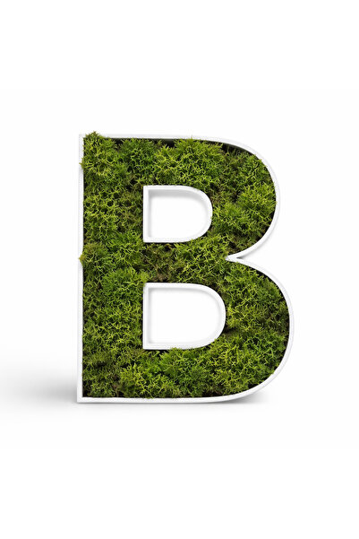 tini-mini.ro Decorative Volumetric Letters with Natural Lichens – Modern Wall...