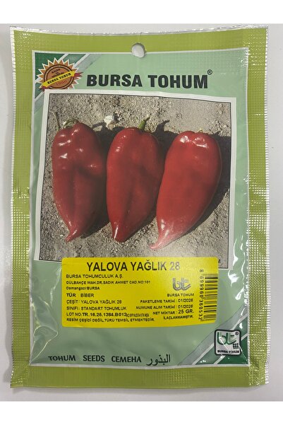 Bursa Tohumculuk Yalova Yağlık 28 Kapya Biber Tohumu 25 gram
