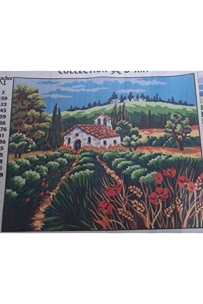 Collaction Dart Tapestry Embroidery Kit