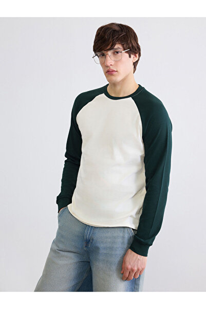 LC Waikiki Peak New Season Crew Neck Long Sleeve Color Block Men's T-Shirt