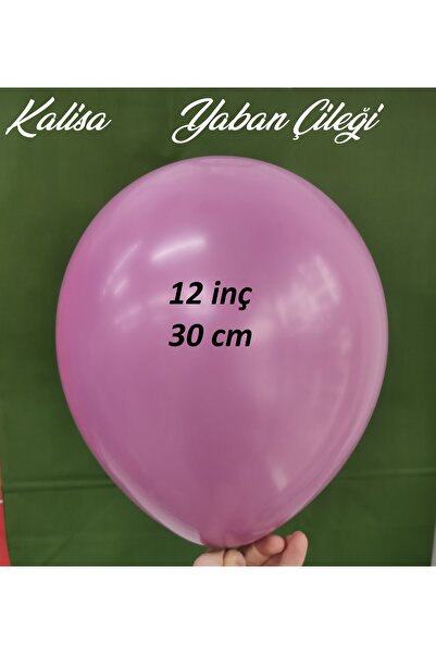 İrem Parti Dükkanı Retro Balloons Wild Strawberry 10 Pieces 12 Inches 30 cm