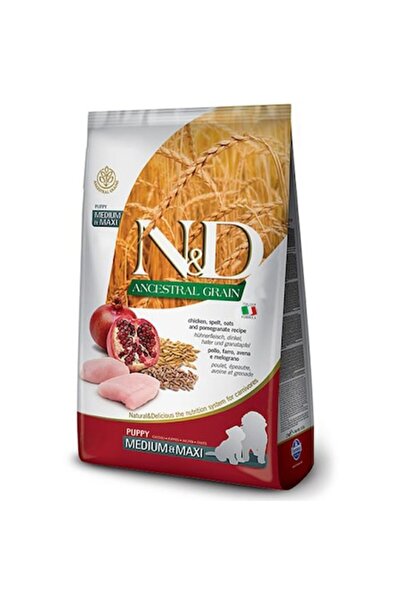 N&D Hrană uscată pentru câini, pentru căței de talie medie/mare, cu pui, ovăz...