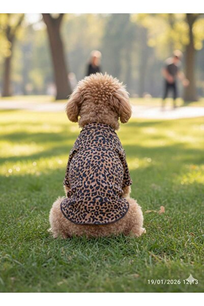 PET KIYAFET, KEDİ VE KÖPEK KIYAFETİ,KÖPEEK TİŞÖRT, KEDİ TİŞÖRT
