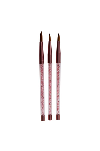 Ailika Rose Gold Detailed Pointed Tip Nail Art Brush Set - 3 Pieces Nl-0633