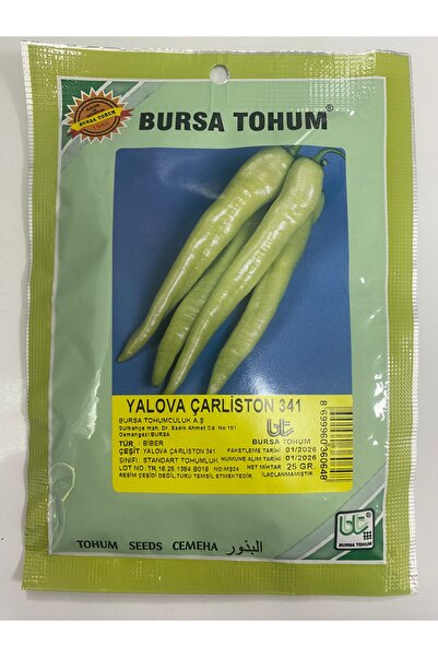Bursa Tohumculuk Çarliston Yalova 341 Biber Tohumu 25 gram