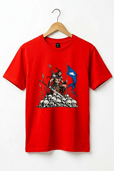 WİDİ Turkish Warrior Sky Flag and Bozkurt Detail Printed Basic Regular Fit T-...