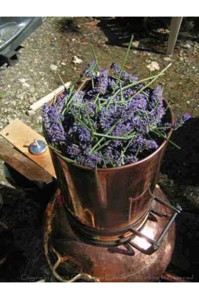 Destilatori Cazan cu Coloana Uleiuri Esentiale, Bauturi Speciale, 20 Litri