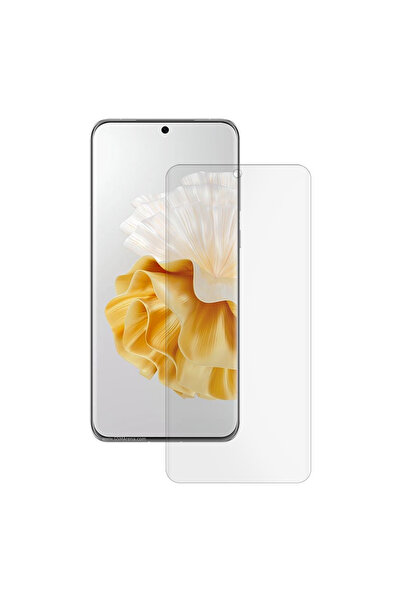 SILKASE Matte film for Huawei P60 Pro, screen protector, silicone