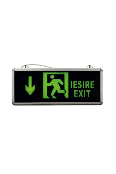 Luxera Lighting Emergency Exit Ceiling Lamp, down arrow