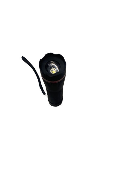 Luxera Lighting LANTERNA LED 2XR20 1W/70LM