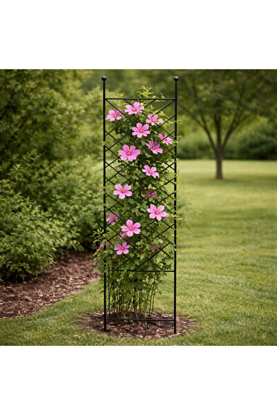Selgot Garden Pergola, Size 38 x 179 Cm, Color Black