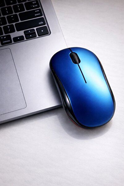 Divex 2.4 Ghz Kablosuz Mouse Kablosuz Mause Fare Usb