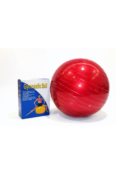 China 65cm Exercise Ball - Anti-Burst Resistance - Yoga, Pilates, and Balance...