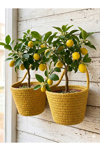 ENA Mini saksı, 2li saksı, hasır saksı, dekoratif saksı