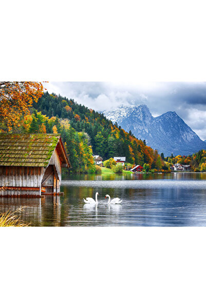 VIODESIGN Fototapet peisaj, autoadeziv, Lebede Lac , multicolor, 80x120 cmPE21