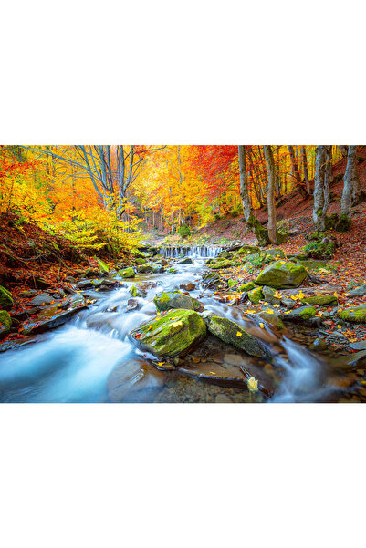 VIODESIGN Fototapet peisaj, autoadeziv, Toamna , multicolor, 80x120 cm PE172