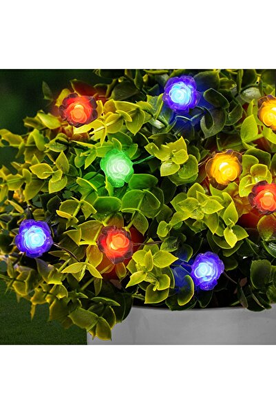 FAMİLY LED solar lamp - flower - 2.3 m - 20 LED - color