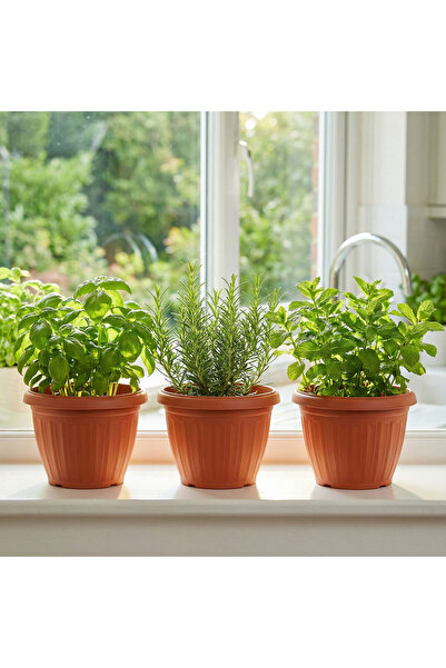 OEM Ghiveci flori din plastic, culoare teracota, Ø20 cm, pentru plante interi...