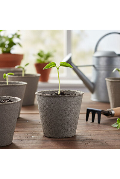 OEM Ghiveci biodegradabil pentru rasaduri Ø8 cm, din hartie, rotund, set 10 b...