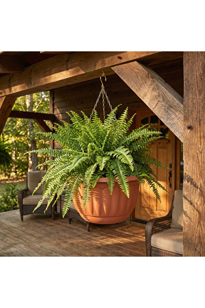 OEM Ghiveci suspendat din plastic cu lant, culoare teracota, Ø30 x 18 cm, pen...