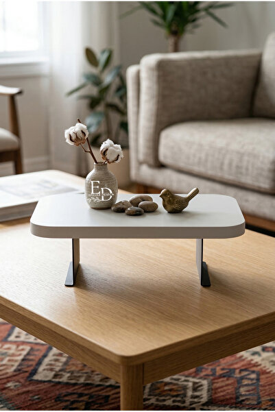 ED Efelez Design Tray, Metal Leg Organizer, Ponte Table Top Shelf, Black Meta...