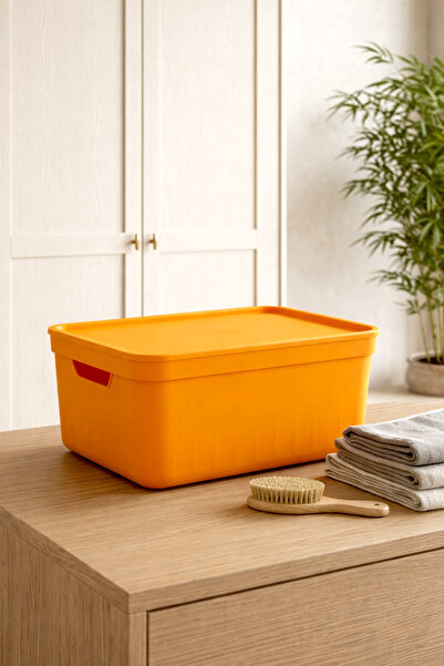 NESS HOME Multi-Purpose Storage Box with Lid - In-Cabinet Organizer 17 Liters