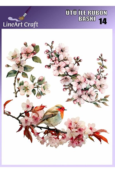 LİNEART طباعة روبون بالكيماويات الكيميائية (الاستيرويدات) قابلة للكي