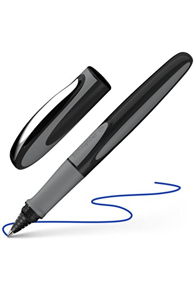 SCHNEIDER Roller Ray, onix